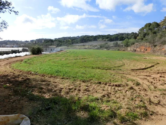 Rústica a Canet de Mar · foto 3