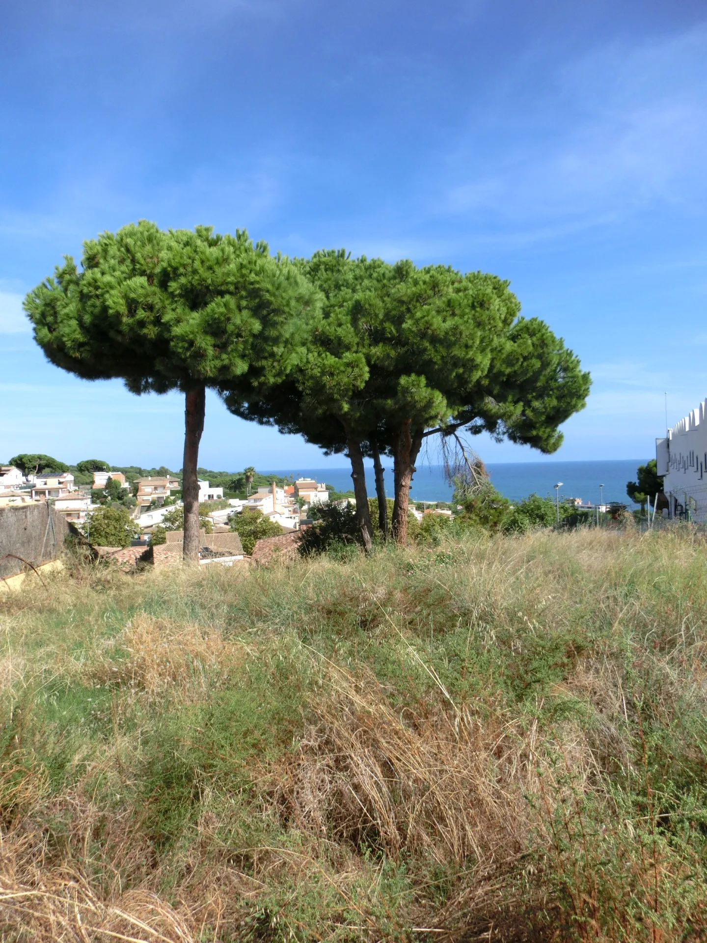Solar a Canet de Mar · foto 3