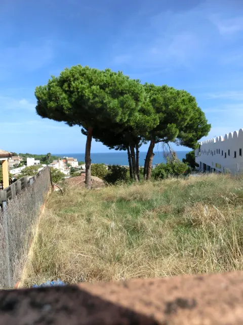 Solar a Canet de Mar · foto 4